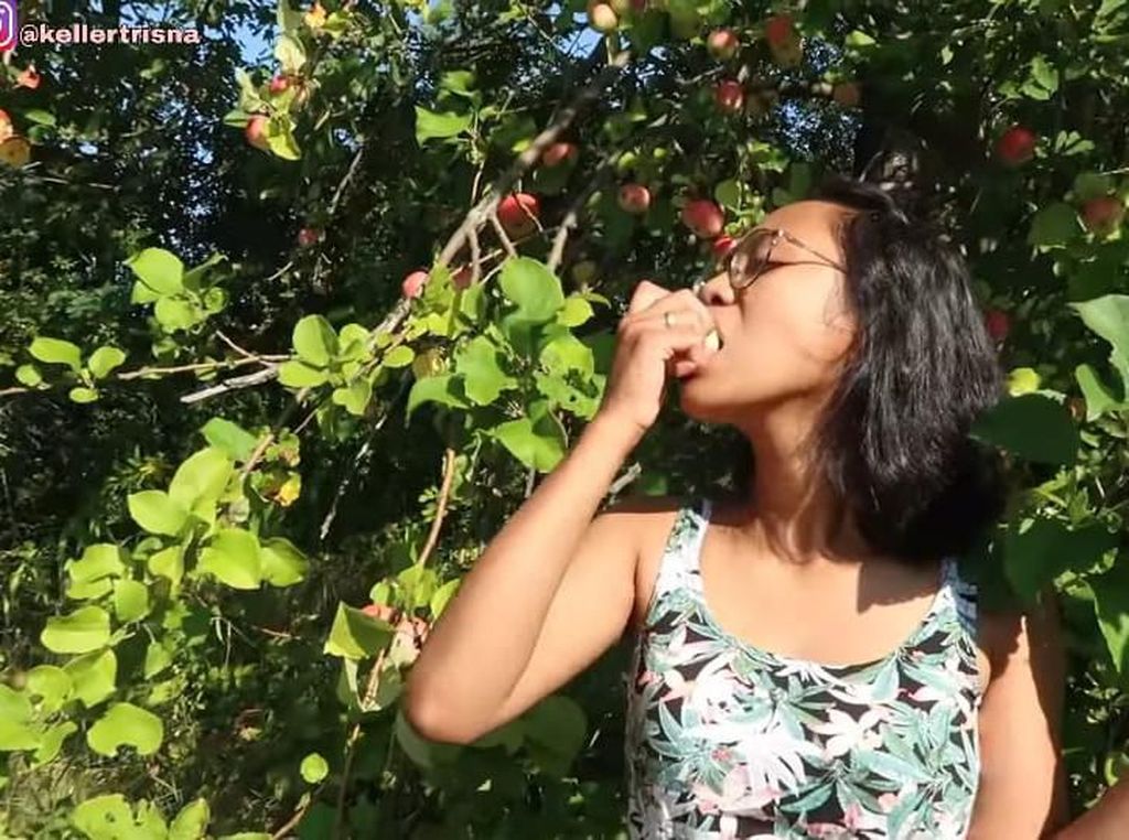 YouTuber Ini Pamerkan Keseruan Panen Apel, Pir hingga Peach Liar