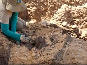 50 Jasad Ditemukan dari Kuburan Massal di Meksiko