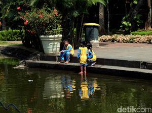 Menikmati Asrinya Taman Spathodea di Jagakarsa