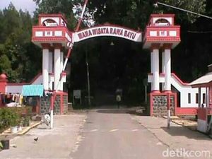 Kades di Banyuwangi Pastikan Desanya Tak Pernah Jadi Lokasi KKN Kades di Banyuwangi Pastikan Desanya Tak Pernah Jadi Lokasi KKN