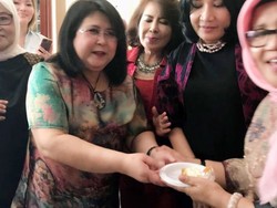 Laporkan Nikita Mirzani, Elza Syarief Didukung Pengacara Seluruh Indonesia