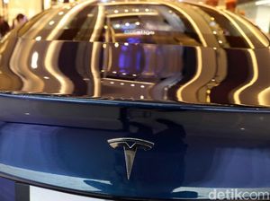 Tikus Gigit Kabel Mobil Tesla, Biaya Perbaikannya Rp 72,5 Juta Tikus Gigit Kabel Mobil Tesla, Biaya Perbaikannya Rp 72,5 Juta