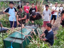 Hewan Misterius Mangsa Unggas, BKSDA Ciamis Pasang Perangkap