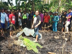 Seorang Kakek di Ponorogo Tewas Terpanggang Saat Bakar Daun Bambu