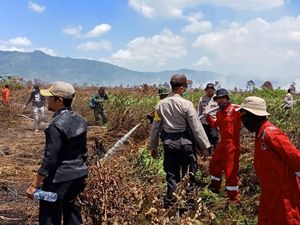 Lahan Seluas 150 Hektare Terbakar di Kolaka Timur Sultra