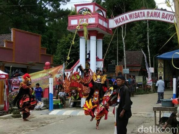 Foto: Lihat Lagi Festival Keren Rowo Bayu yang Mirip Desa Penari