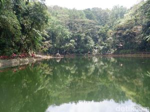 Foto: Perang Menyeramkan Pernah Terjadi di Rowo Bayu Foto: Perang Menyeramkan Pernah Terjadi di Rowo Bayu
