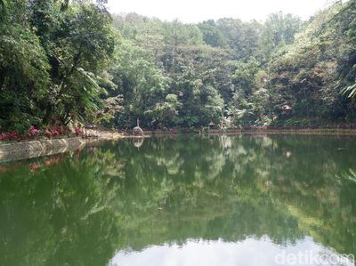 Foto: Perang Menyeramkan Pernah Terjadi di Rowo Bayu