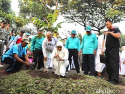 Akulturasi Papua dan Jatim, Khofifah Tanam Matoa di Masjid Al Akbar