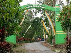 Mengunjungi Wonorejo, Dusun yang Diduga Tempat KKN Desa Penari Mengunjungi Wonorejo, Dusun yang Diduga Tempat KKN Desa Penari