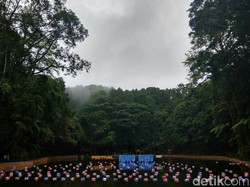 Rowo Bayu, Desa Penari dan Festival Hari Jadi Banyuwangi