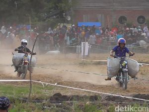 Rayakan Panen, Petani di Polman Balapan Motor Taxi Bawa Karung Gabah Rayakan Panen, Petani di Polman Balapan Motor Taxi Bawa Karung Gabah