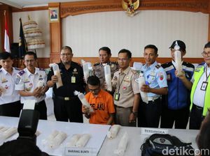 Petugas Bandara Ngurah Rai Penyelundup Baby Lobster Rp 2,6 M Diamankan