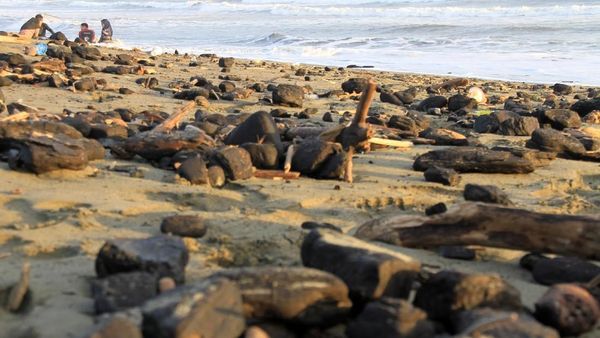 Duh, Limbah Batu Bara Cemari Pantai di Aceh