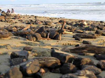 Duh, Limbah Batu Bara Cemari Pantai di Aceh