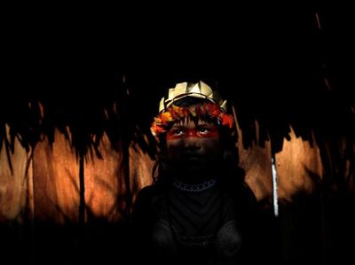 Cara Suku Shanenawa Menolak Pembakaran Hutan Amazon