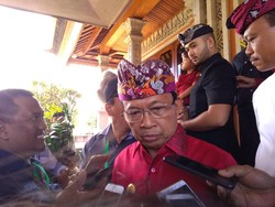 Koster Cerita Lapor ke JK soal Reklamasi di Bali Bikin Mangrove Mati