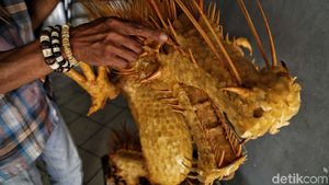 Taryana Ubah Limbah Tulang Ikan Jadi Karya Seni Keren