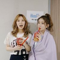Irene dan Wendy Red Velvet