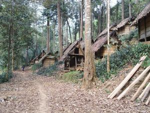 Lebih Dekat dengan Suku Baduy Dalam
