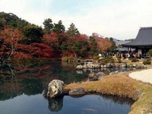 Foto: Cantiknya Kuil Tenryu-Ji di Musim Gugur