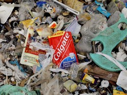 World Cleanup Day 2019, Sampoerna Gelar Aksi Bersih-bersih