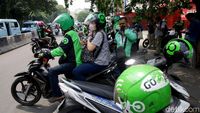 Soal Ojol Jadi Transportasi Umum, Kemenhub: Motor Rentan Kecelakaan ...