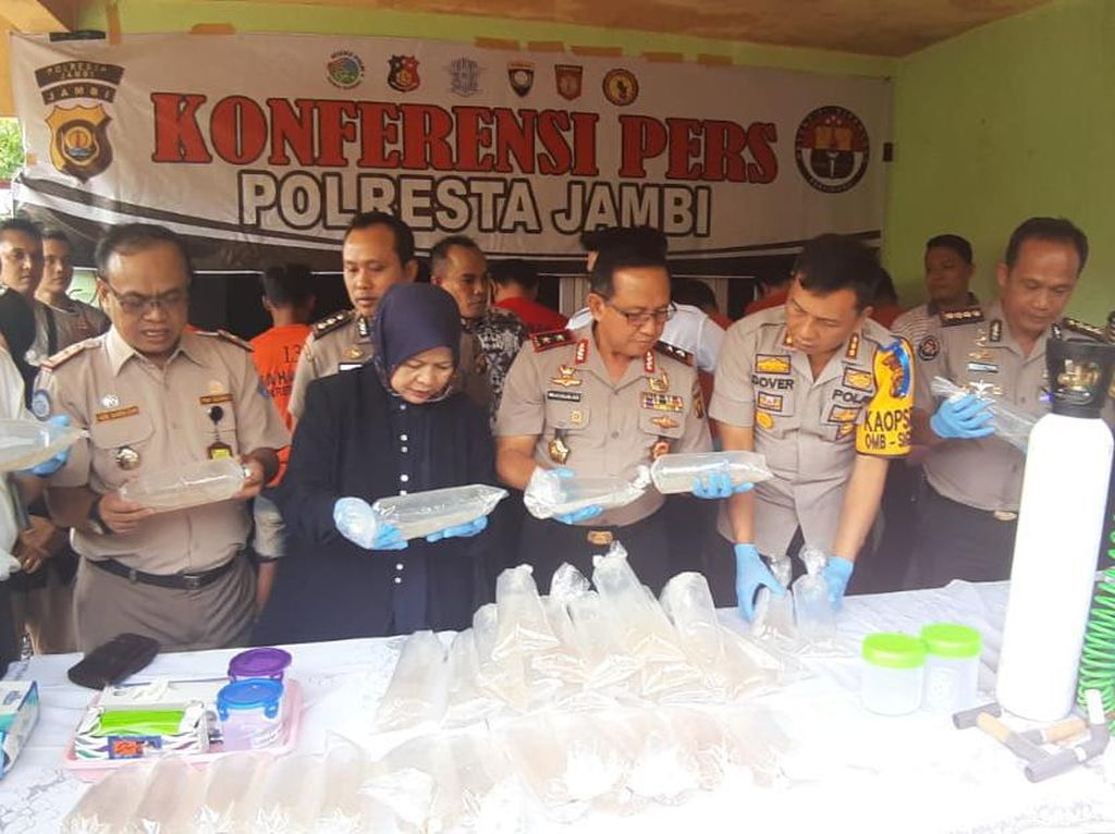 Polisi Gerebek Gudang Penyimpanan 161 Ribu Benih Lobster di Jambi Polisi Gerebek Gudang Penyimpanan 161 Ribu Benih Lobster di Jambi