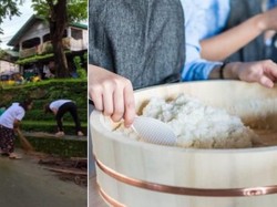 Unik! Di Desa Ini Bisa Tukar Nyamuk Mati dengan Beras Gratis