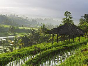 Sederet Perusahaan China yang Pilih Pindah ke Vietnam Ketimbang RI