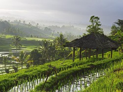 Sederet Perusahaan China yang Pilih Pindah ke Vietnam Ketimbang RI