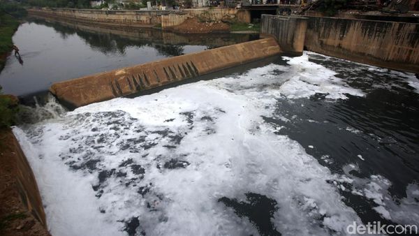 Busa Putih Kembali Cemari Aliran Kanal Banjir Timur