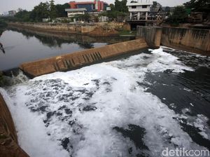 Busa Putih Kembali Cemari Aliran Kanal Banjir Timur