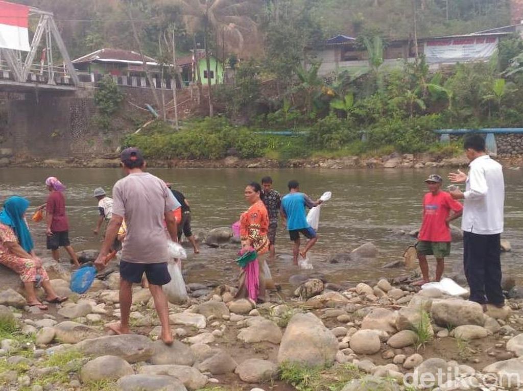 Warga Berebut Ikan yang Ditebar KKP di Sungai Serayu Banjarnegara