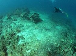 Kerusakan Terumbu Karang di Makassar, Ini Kata Peneliti Laut