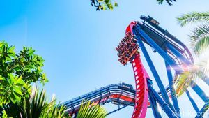 Foto: 5 Roller Coaster Paling Ekstrem di Dunia