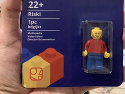 Viral Mahasiswa Bandung Diterima Magang karena CV Berbentuk Lego