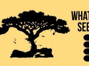 Tes Kepribadian: Hewan atau Pohon yang Pertama Kali Kamu Lihat di Gambar?