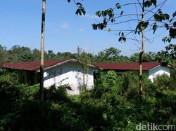 Desa yang Hilang & Coretan di Tembok Mirip Cerita KKN di Desa Penari