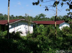 Ini Penyebab Kampung Hilang di Lokasi Diduga Tempat KKN Desa Penari Ini Penyebab Kampung Hilang di Lokasi Diduga Tempat KKN Desa Penari