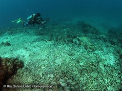 Miris! Terumbu Karang Makassar Rusak Karena Bom dan Racun