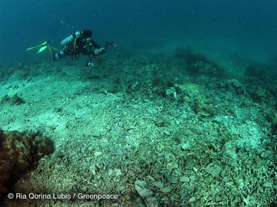 Potret Terumbu Karang Makassar yang Rusak Karena Bom