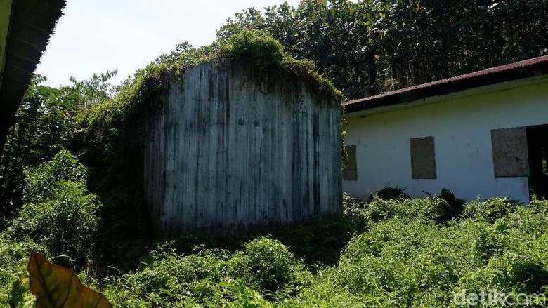 Cerita Penelusuran Kampung Hilang yang Diduga Lokasi KKN Desa Penari