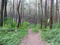 KKN di Desa Penari dan Proteksi Ekokultural