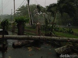 Hujan dan Angin Kencang di Kota Kisaran, Pohon-Tiang Listrik Tumbang
