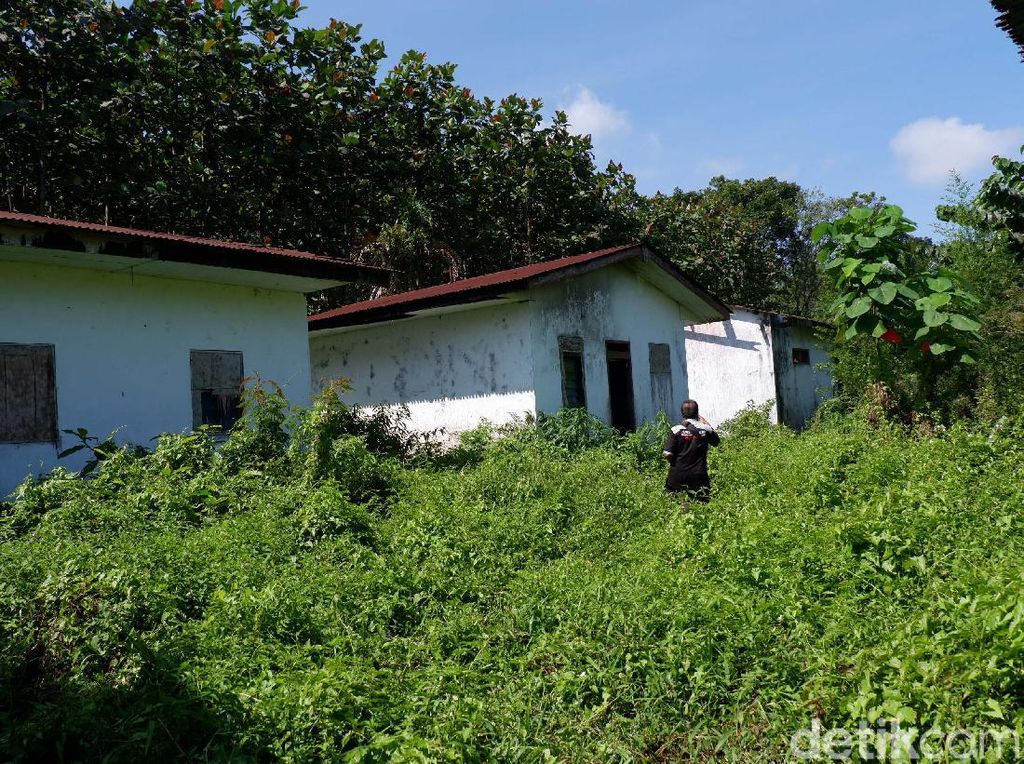Menelusuri Kampung Hilang di Rowo Bayu Banyuwangi Lokasi KKN Desa Penari