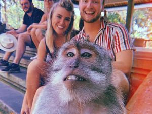 Viral Rahasia Selfie dengan Monyet di Bali