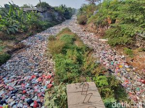 Penampakan Lautan Sampah Terhampar di Kali Jambe Bekasi Penampakan Lautan Sampah Terhampar di Kali Jambe Bekasi
