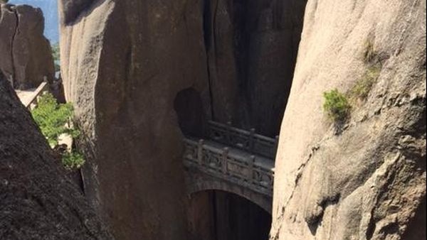 Foto: Jembatan Manusia Abadi di China