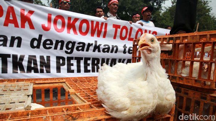 Foto: Ari Saputra